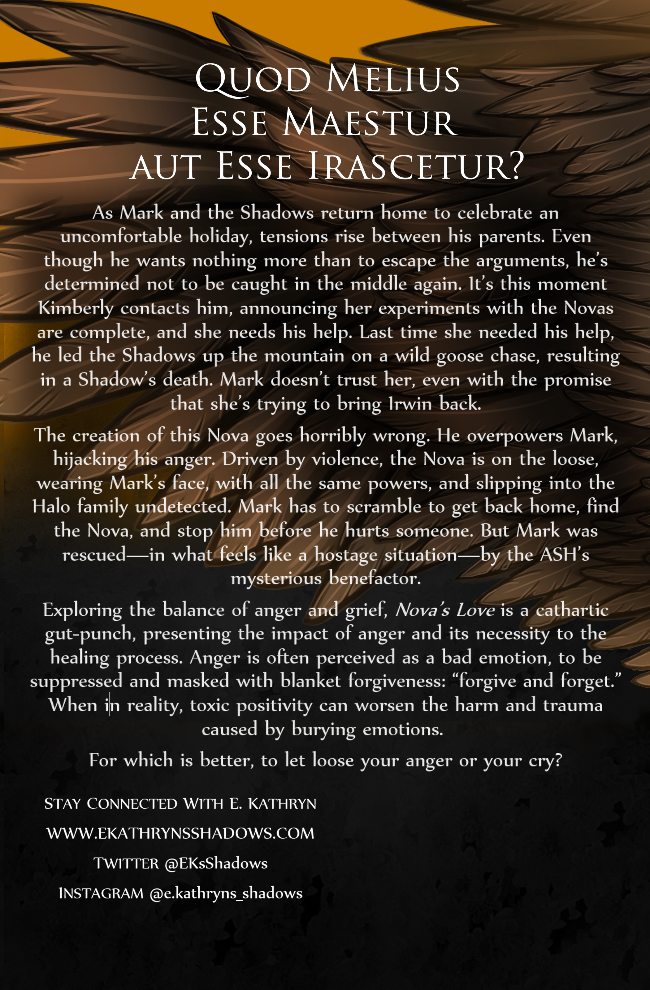4 The Shadows: Nova's Love Paperback